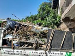Best Recycling Services for Junk  in Woodworth, OH
